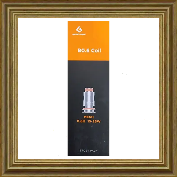 Geekvape B Serie Ersatzcoils 0.6