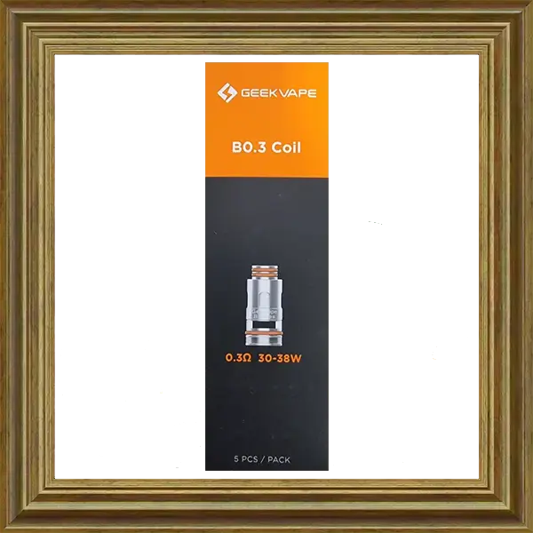 Geekvape B Serie Ersatzcoils 0.3