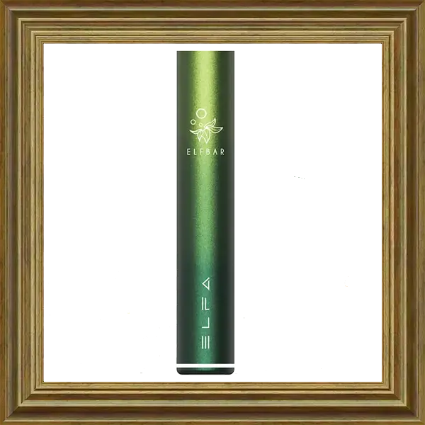 Elfbar Elfa Akkutrager Aurora Green