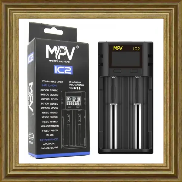 MPV IC2 Ladegerat 1