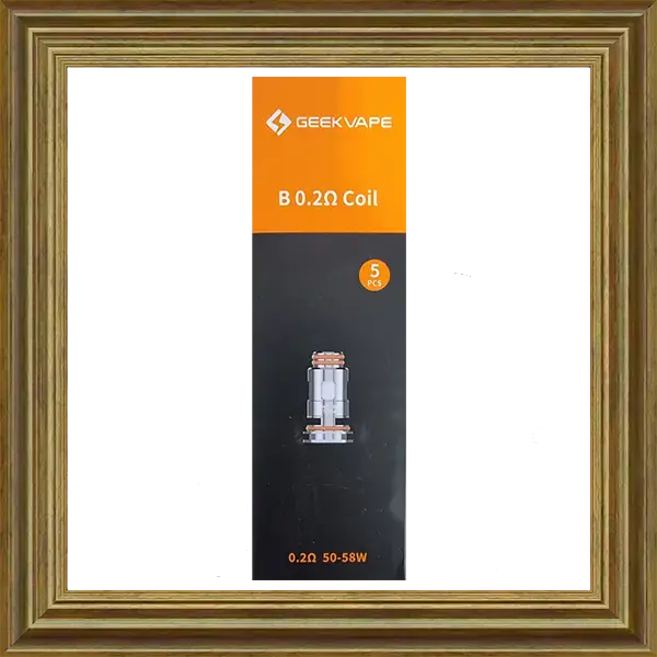 Geekvape B Serie Ersatzcoils 0.2