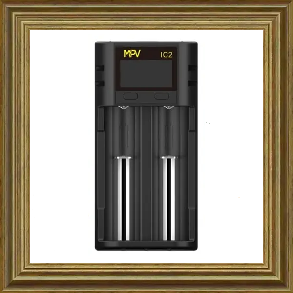 MPV IC2 Ladegerat 2