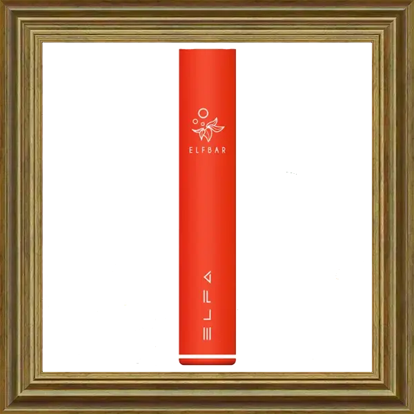 Elfbar Elfa Akkutrager Orange