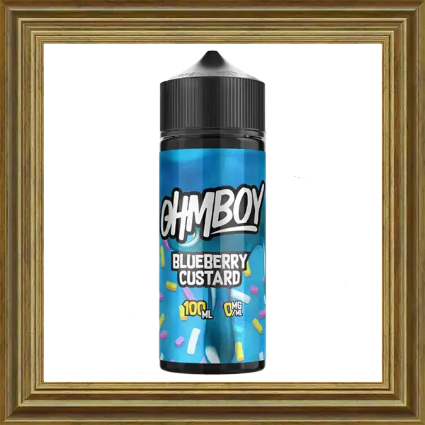Ohmboy OC Blueberry Custard  100ml 120ml Shortfill Liquid